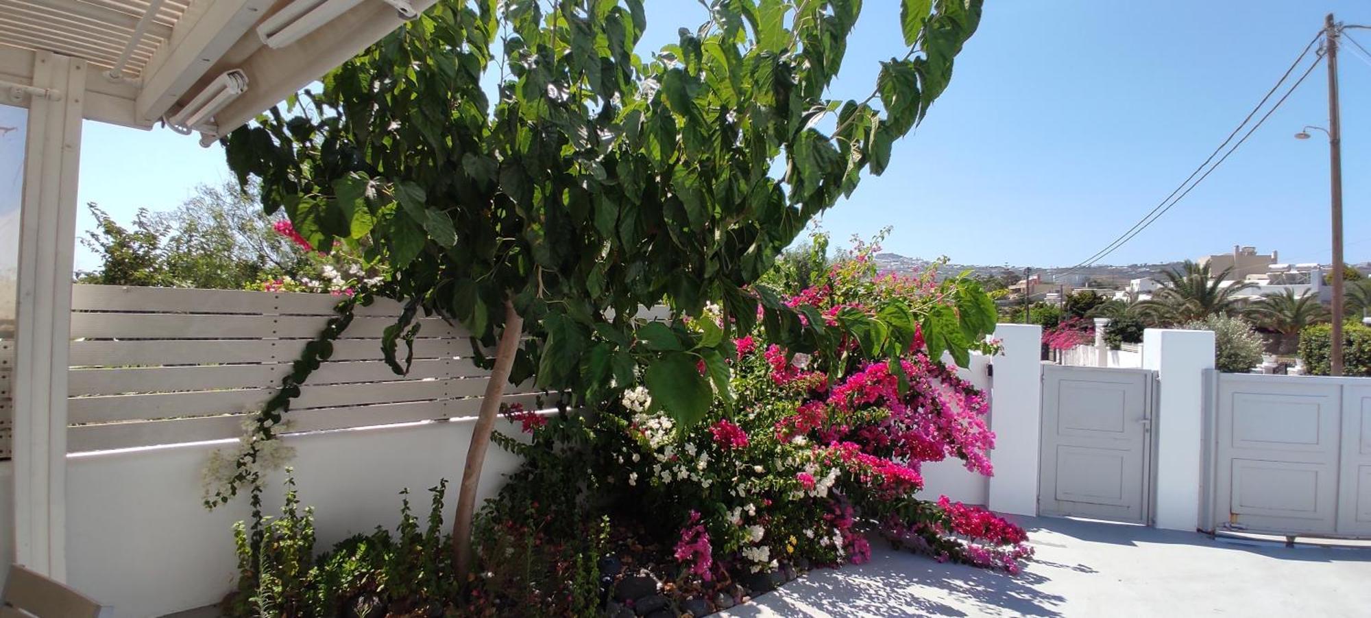 Jb Villa (Adults Only) Месария Екстериор снимка